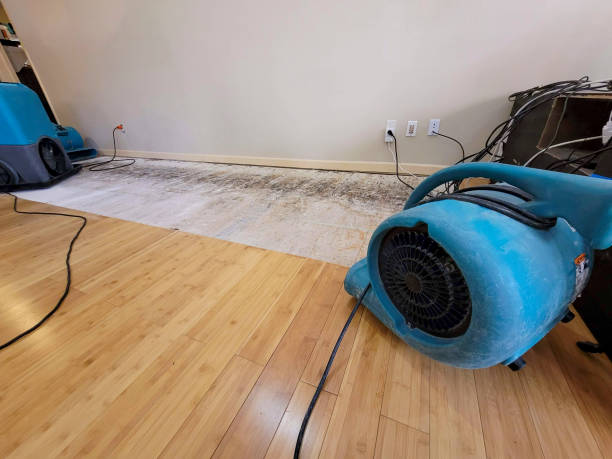Professional Basement Flood Cleanup technician working in Pompton Lakes, NJ